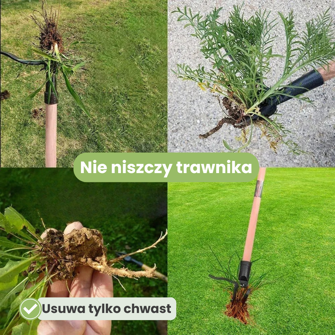 PlantTool - Wyrwij chwasty razem z korzeniem! - obrazek 3